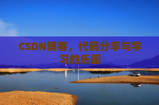 CSDN博客，代码分享与学习的乐园